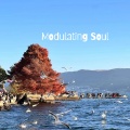 Modulating Soul