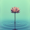 Find Inner Peace