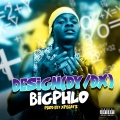 BIGPHLO - DESIGN