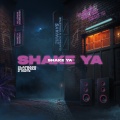 Shake Ya (Radio Mix)