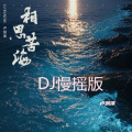 相思苦海 (DJ慢摇版)(伴奏)