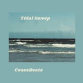 Tidal Sweep (2024)