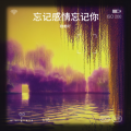 晓艳吖 - 忘记感情忘记你