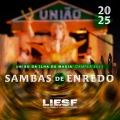 Alan Cardoso、Liga das Escolas de Samba de Florianopolis、LIESF - Consulado