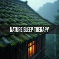 Natural Sample Makers、Nature Sound Collection、Nature Sleep Therapy - Raindrops Dancing on the Roof
