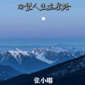 张小嘟 - 回望人生这条路
