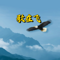 周细荣 - 歌在飞