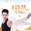 我的快乐就是想你(精编版)