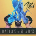 Cash Cash、Sofia Reyes - How to Love