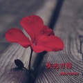 渔圈、欧阳朵 - 失去才懂