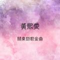 黄熙雯 - 友谊之光