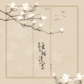 赵方婧 - 轻描淡写