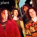 Plant - know you