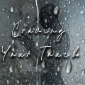 Craving Your Touch (Explicit)