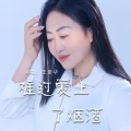 王爱华 - 难过爱上了烟酒
