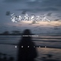 诺爷Plus - 爱伤透恨不休
