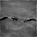 Twenty7、Desi - Arrivi tu