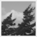 Leiser. - still an end