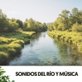 Sonidos del río y música: Melodías acuáticas