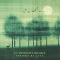 Sonidos De Aves - Echoing Chirups