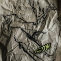 Gomi - IF I END, I WANT IT DONE BY YOU