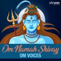 Om Namah Shivay