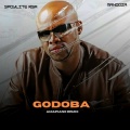 Spoylite Rsa、Peter Frampton - Godoba (Amapiano Remix|Explicit)