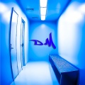 DM - Passi