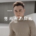郑琦 - 想见却不能见