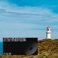武智勇 - 茉莉花
