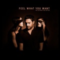 Feel What You Want - The Ultimate Collection