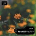 孤独旅行 - 新疆的荣耀传奇