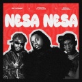 Nesa Nesa (feat. Diamond Platnumz & Khalil Harrison)