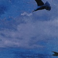 Flight