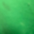 St patricks day