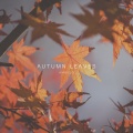 Ambulo - Autumn Leaves