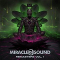 Miracle of Sound - The Call - 2024 Remaster