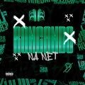 Rocando na Net (Explicit)