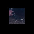 interzone - Predictable (Single)