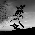 Gustixa - Melancholy