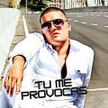 Tu Me Provocas