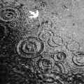Li桃子 - 雨爱