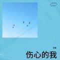 王歌 - 伤心的我