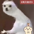 Xun - 两只佬仔
