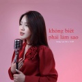 thaolinh、Viam - Không Biết Phải Làm Sao