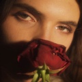 THEA ROSE - Tournesol