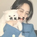 DJ小星星 - 你花呗还了吗