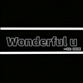 Wonderful u