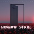 安然z - 会呼吸的痛