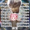 扇宝 - chipi chipi chapa chapa